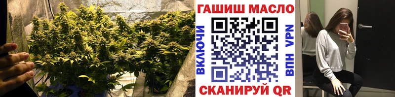 ТГК вейп  цена   Бакал 